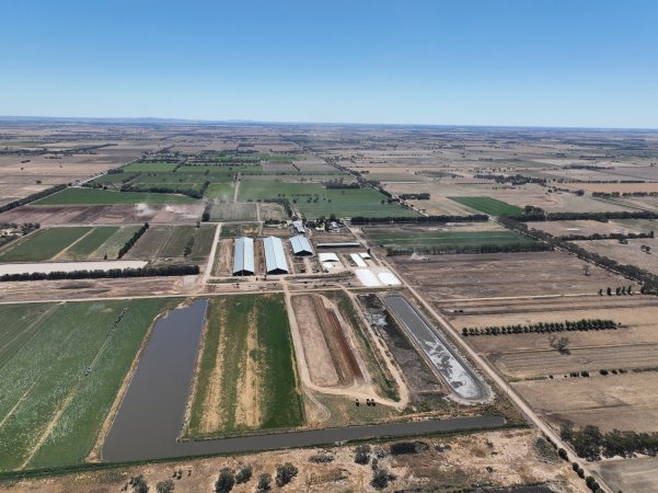 Drone flyover of Calmo Dairy
