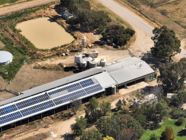 Drone flyover of milking parlour