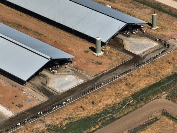 Drone flyover of zero graze sheds