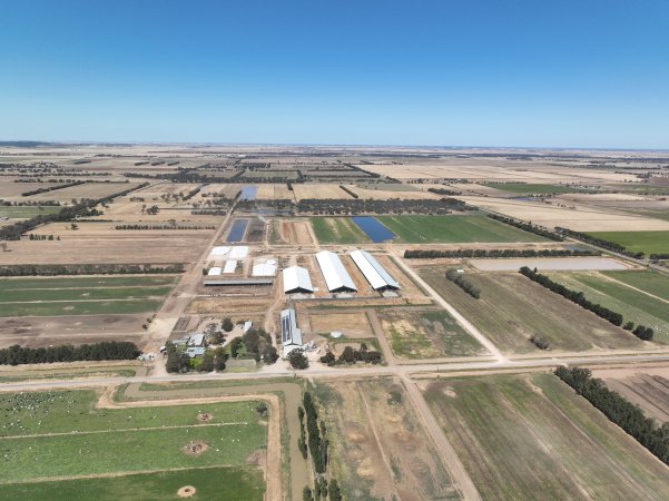 Drone flyover of Calmo dairy