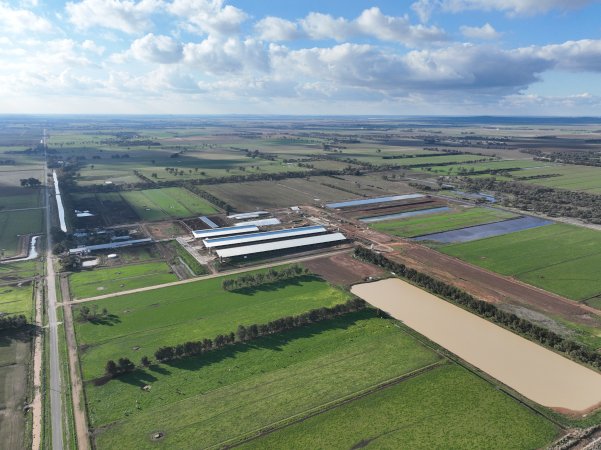 Drone flyover of Calmo dairy