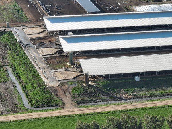Drone flyover of Calmo dairy