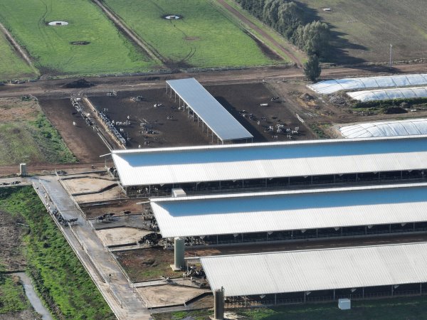 Drone flyover of Calmo dairy