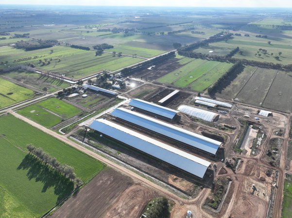 Drone flyover of Calmo dairy