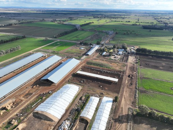 Drone flyover of Calmo dairy