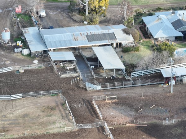 Calf sheds at Calmo Dairy