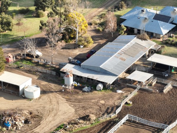 Drone flyover of calf sheds