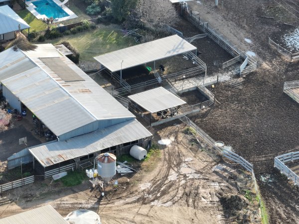 Drone flyover of Calf sheds