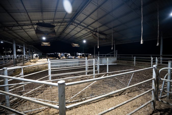 Maternity pen