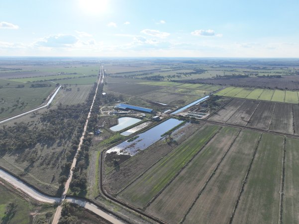 Drone flyover of Vinnicombe dairy