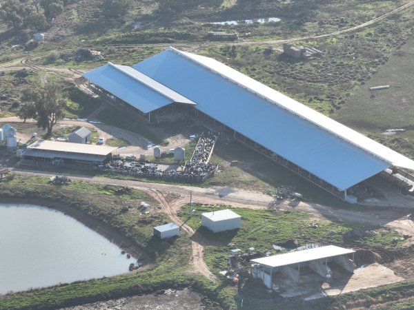 Drone flyover of Vinnicombe dairy