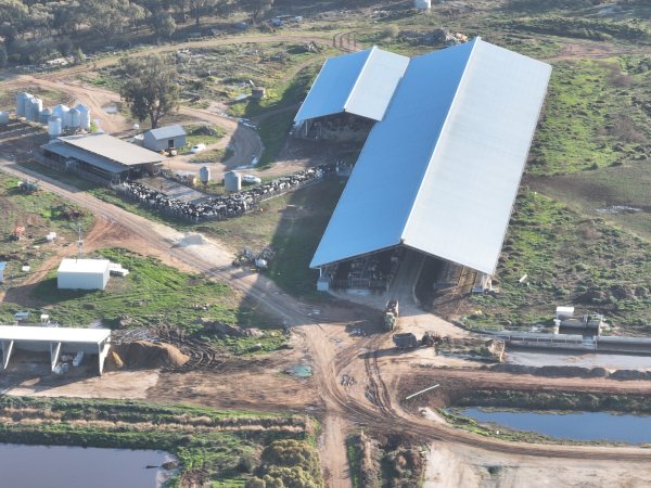 Drone flyover of Vinnicombe dairy