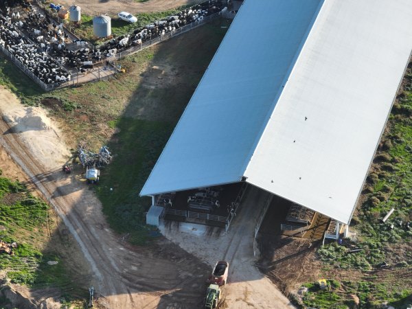 Drone flyover of Vinnicombe dairy