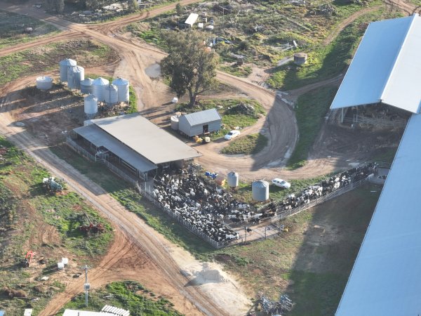 Drone flyover of Vinnicombe dairy