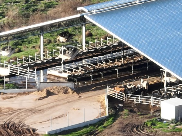 Drone flyover of Vinnicombe dairy
