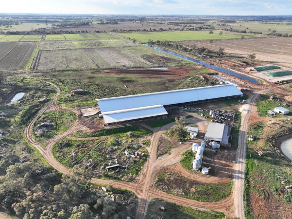 Drone flyover of Vinnicombe dairy