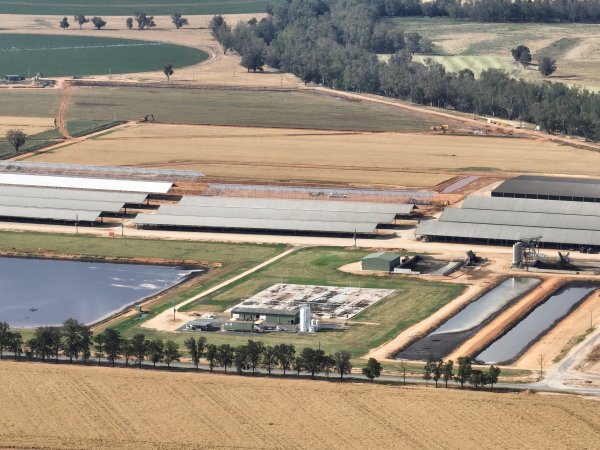Drone flyover of Moxey Dairy