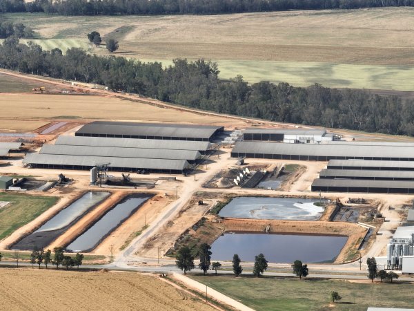 Drone flyover of Moxey Dairy