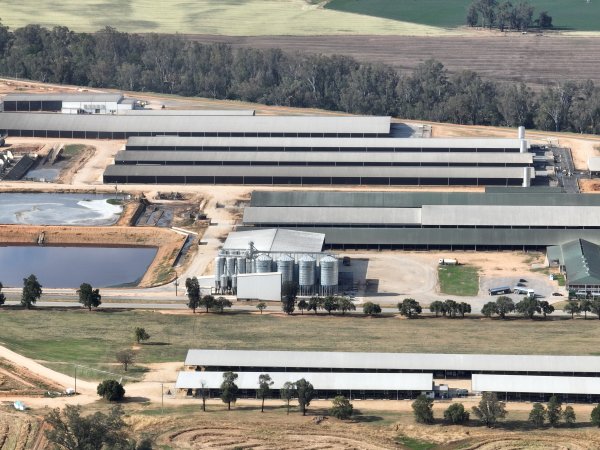 Drone flyover of Moxey Dairy