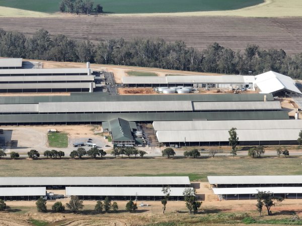Drone flyover of Moxey Dairy