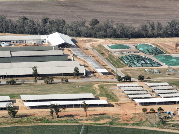 Drone flyover of Moxey Dairy