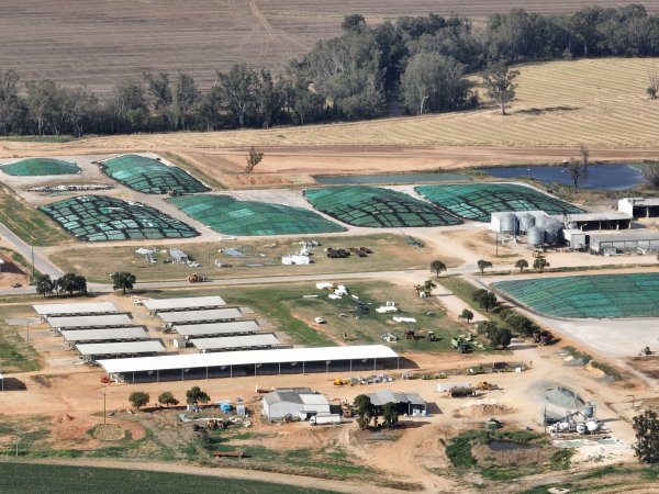 Drone flyover of Moxey Dairy