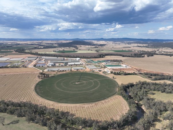 Drone flyover of Moxey Dairy