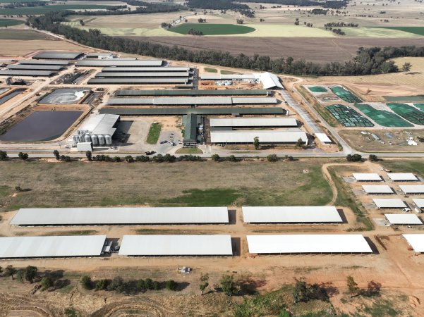 Drone flyover of Moxey Dairy