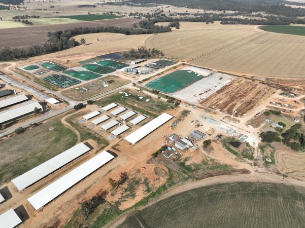 Drone flyover of Moxey Dairy