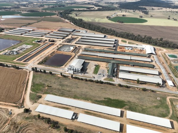 Drone flyover of Moxey Dairy