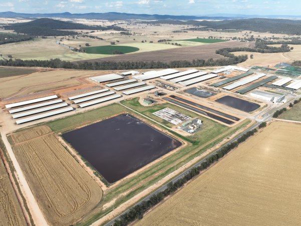 Drone flyover of Moxey Dairy