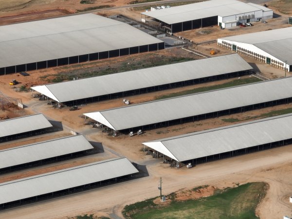 Drone flyover of Moxey Dairy