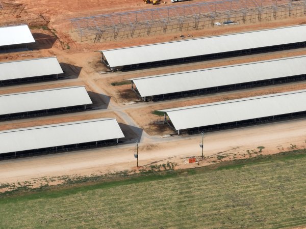 Drone flyover of Moxey Dairy