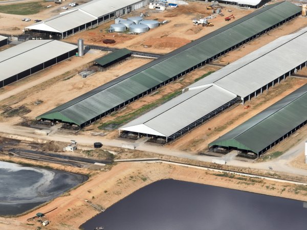Drone flyover of Moxey Dairy