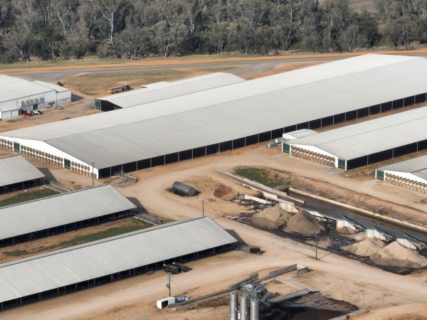 Drone flyover of Moxey Dairy