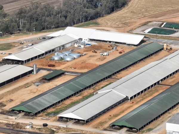 Drone flyover of Moxey Dairy