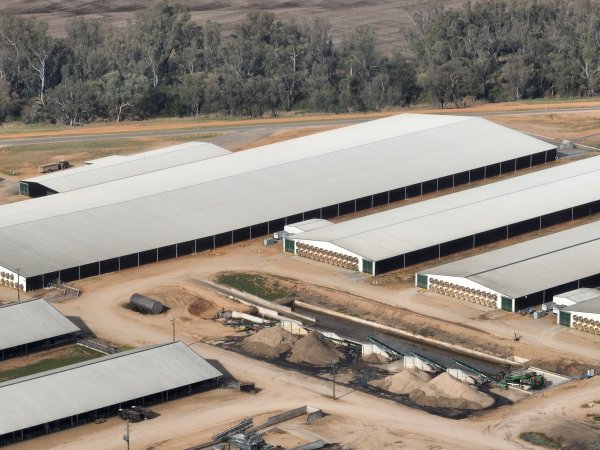 Drone flyover of Moxey Dairy