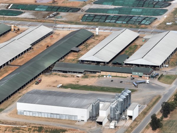 Drone flyover of Moxey Dairy