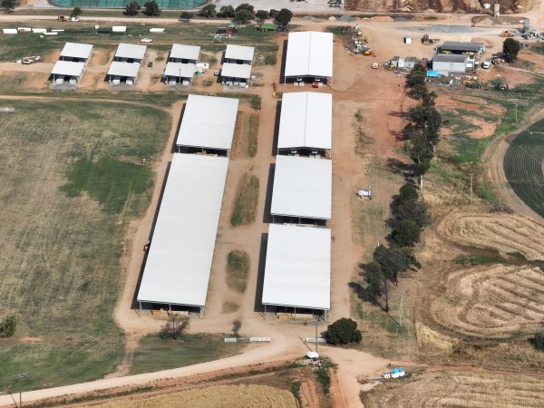 Drone flyover of Moxey Dairy