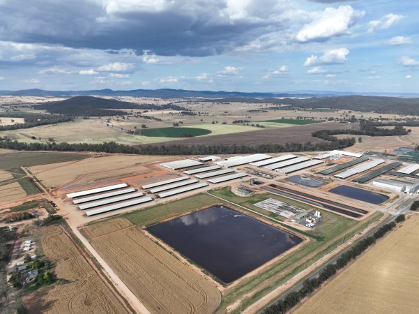 Drone flyover of Moxey Dairy