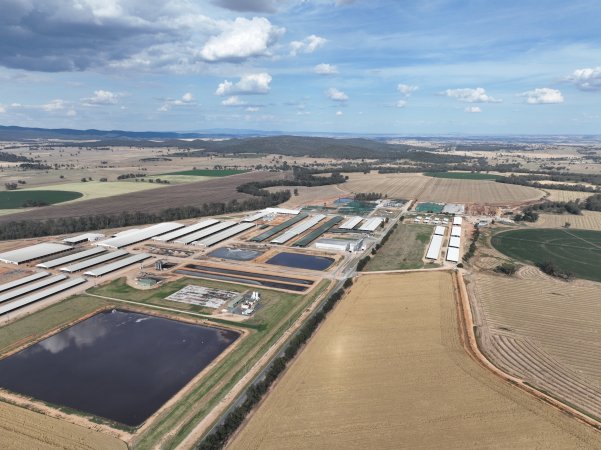 Drone flyover of Moxey Dairy