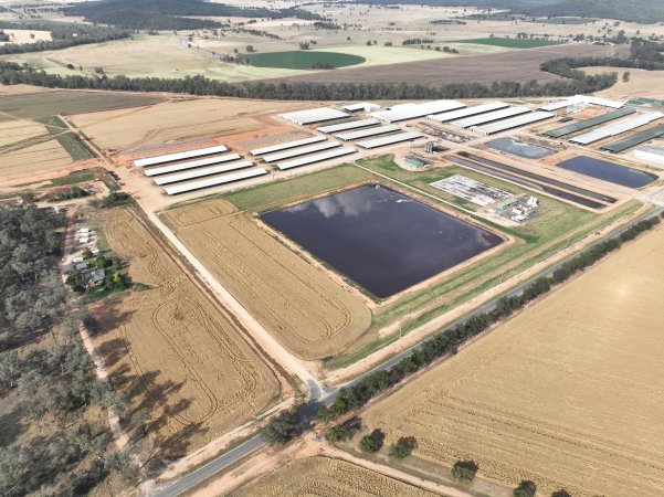 Drone flyover of Moxey Dairy