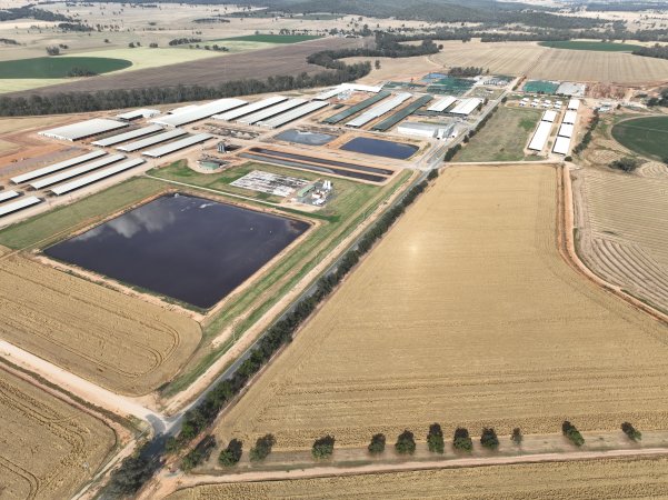 Drone flyover of Moxey Dairy