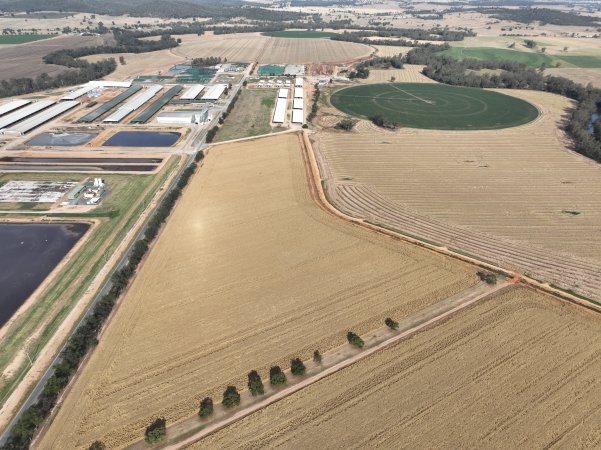 Drone flyover of Moxey Dairy