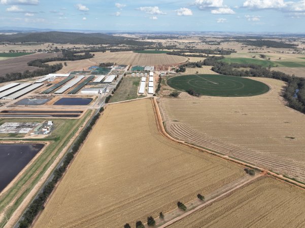 Drone flyover of Moxey Dairy