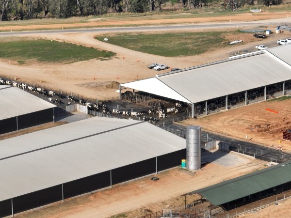 Drone flyover of Moxey Dairy