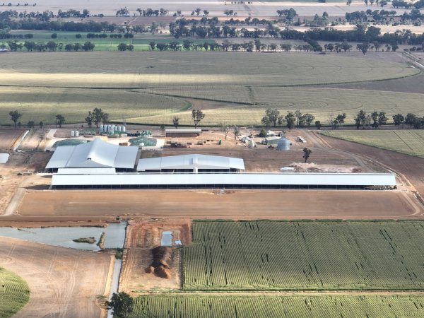 Drone flyover - AFMH Coomboona (breeding)