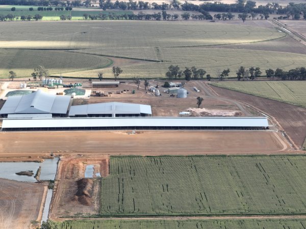 Drone flyover - AFMH Coomboona (breeding)