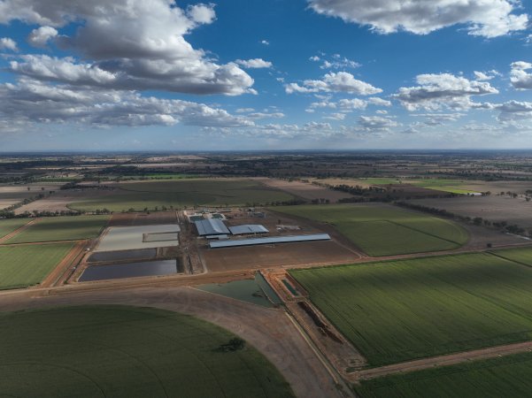 Drone flyover - AFMH Coomboona (breeding)