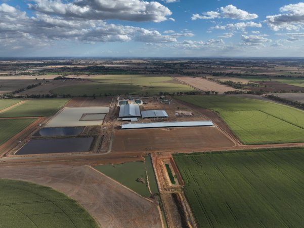 Drone flyover - AFMH Coomboona (breeding)
